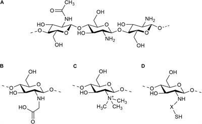 Potential of Chitosan and Its Derivatives for Biomedical Applications in the Central Nervous System